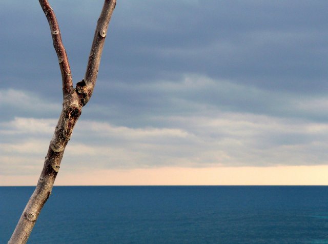 334_rivoldo verso il cielo_tema libero